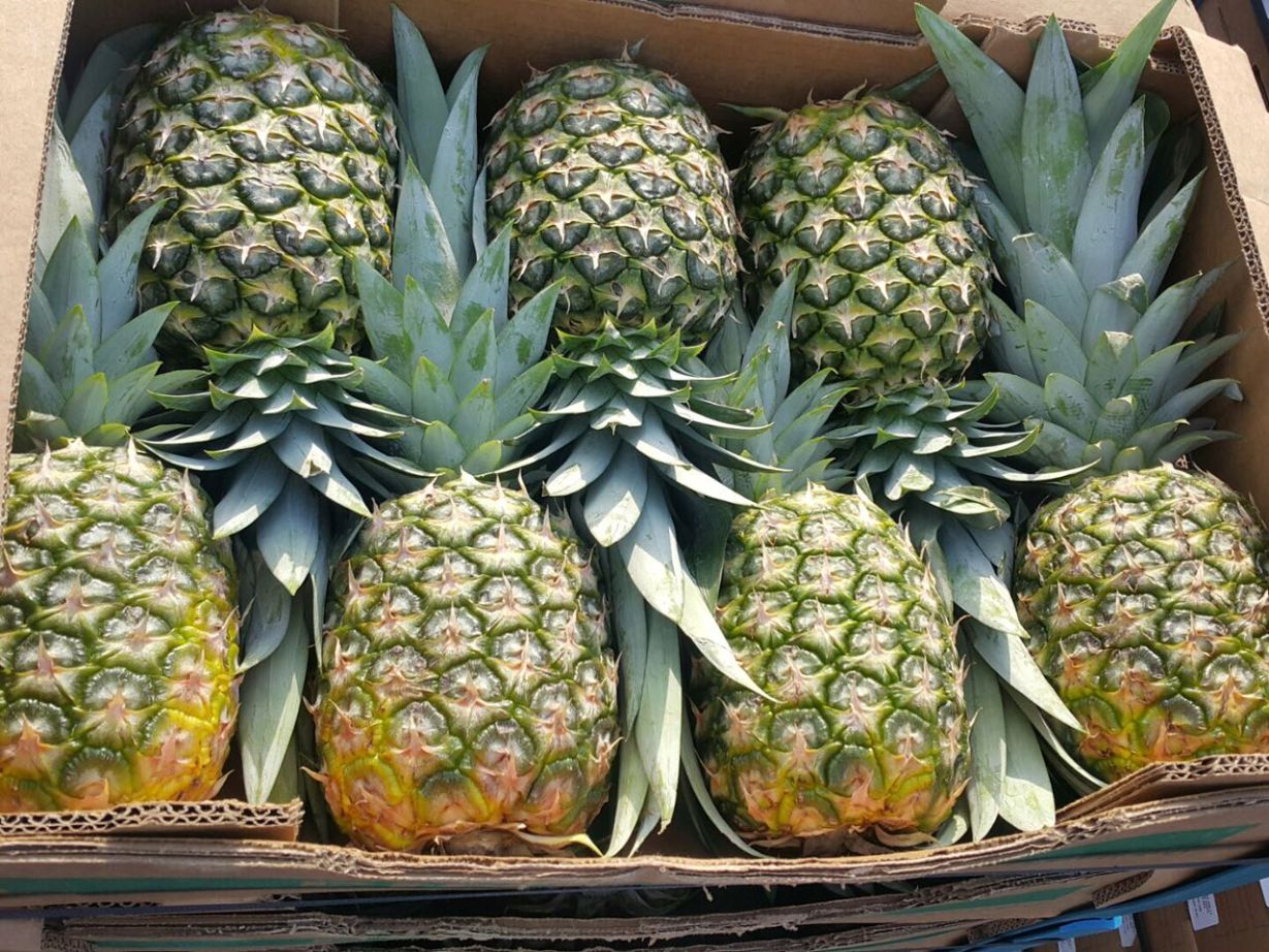 Piña Fresca Tropical