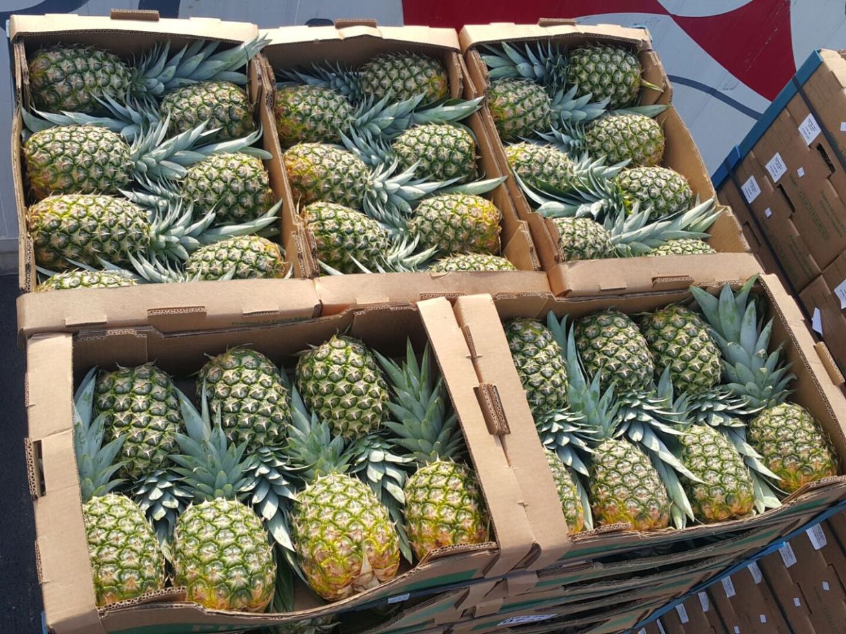 Piña Fresca Tropical