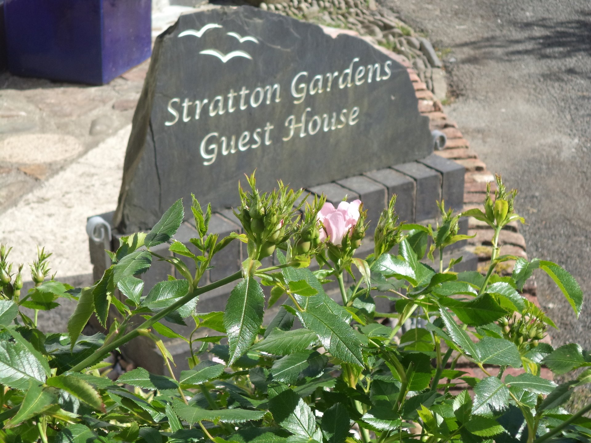 Stratton Gardens