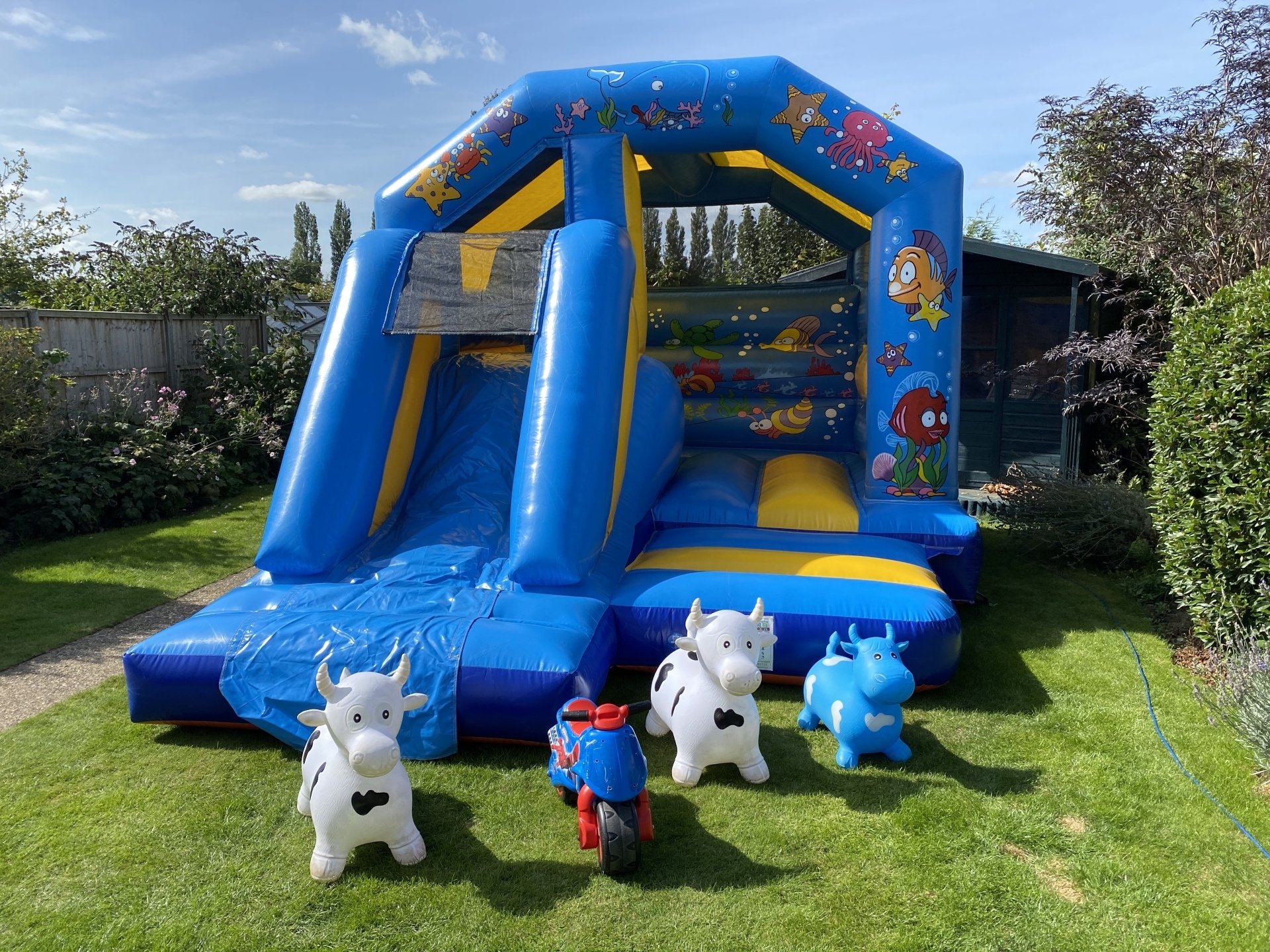 Bouncy Castle Hire In Bury St Edmunds from Bury Soft Play