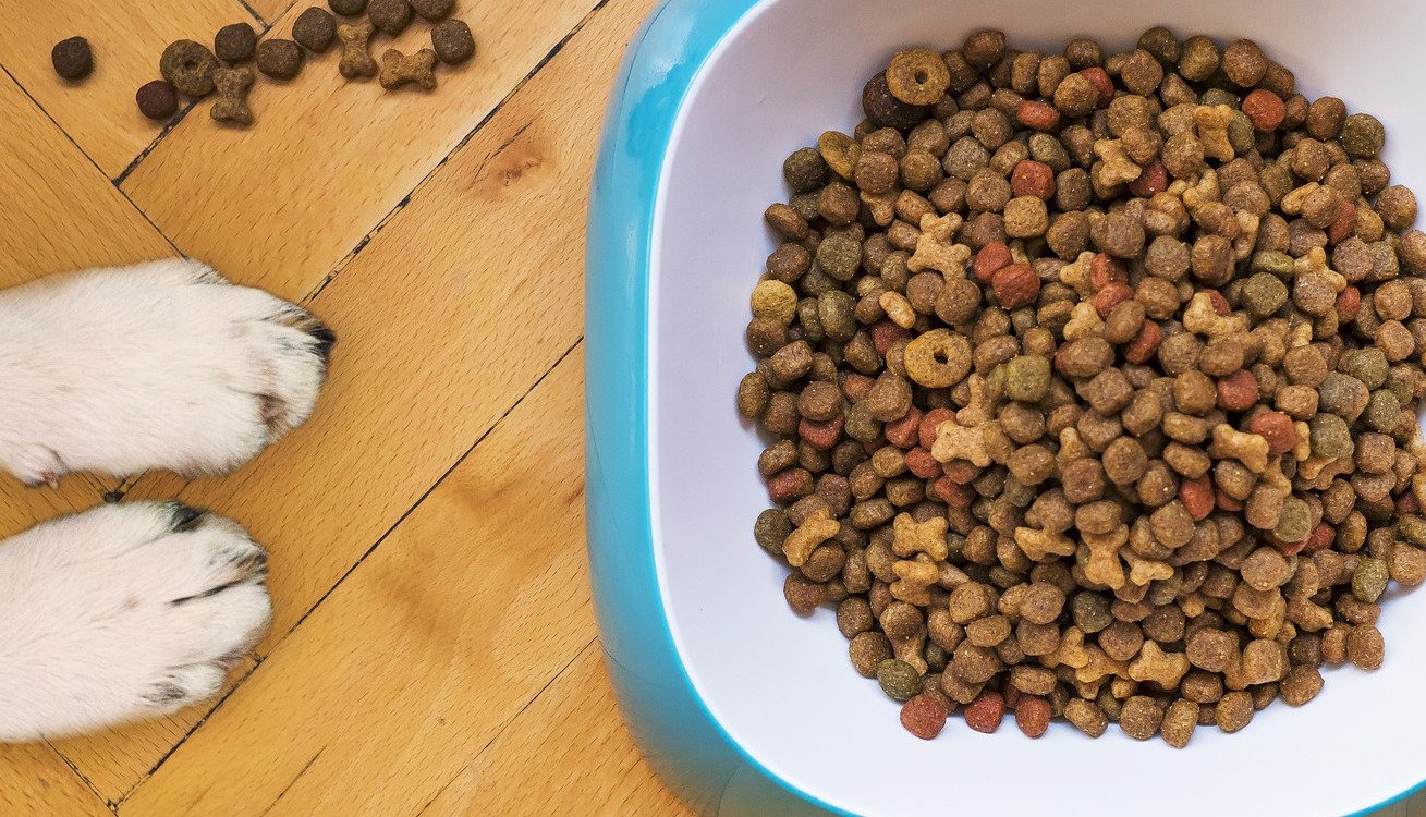 N. Idaho woman faces life in prison or death penalty if