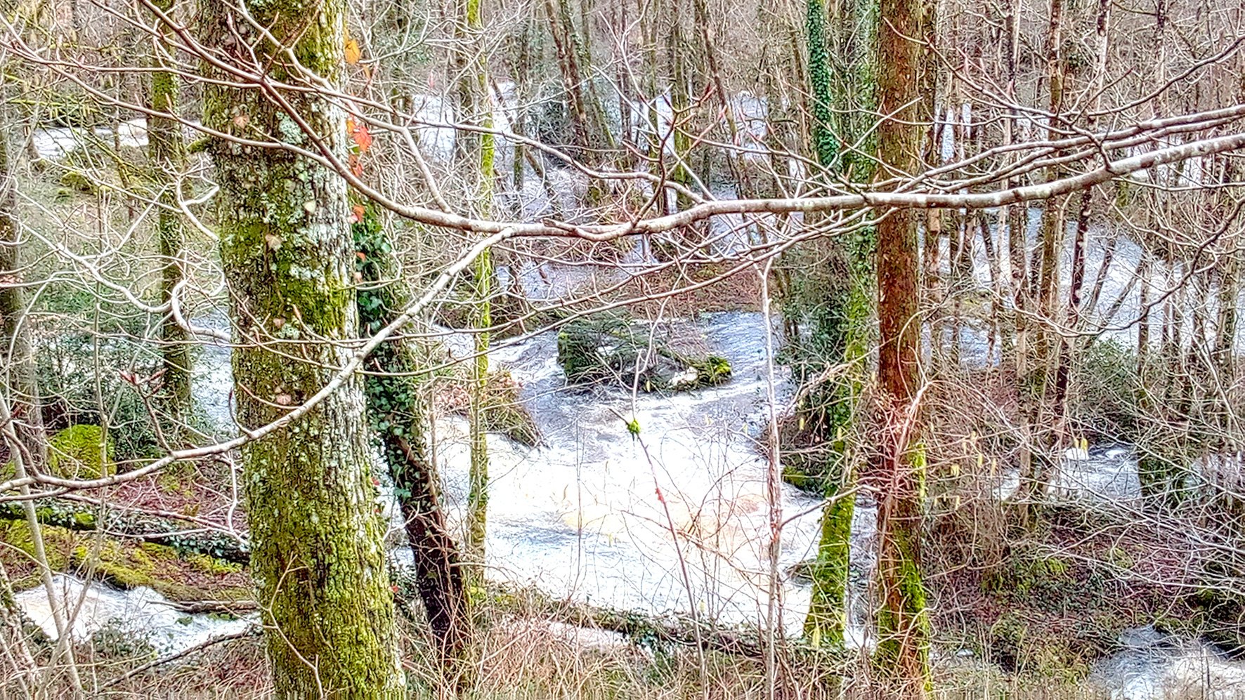 saintvictorenmarche mairie conseil municipal, voirie, commune