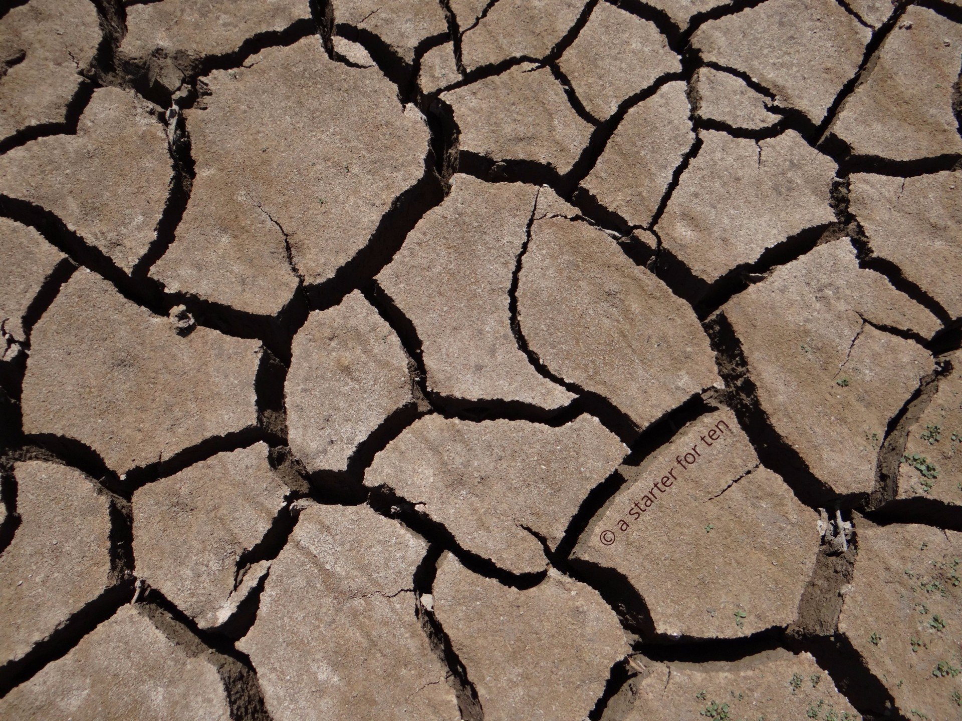Smashed Earth A Starter for Ten - image gallery