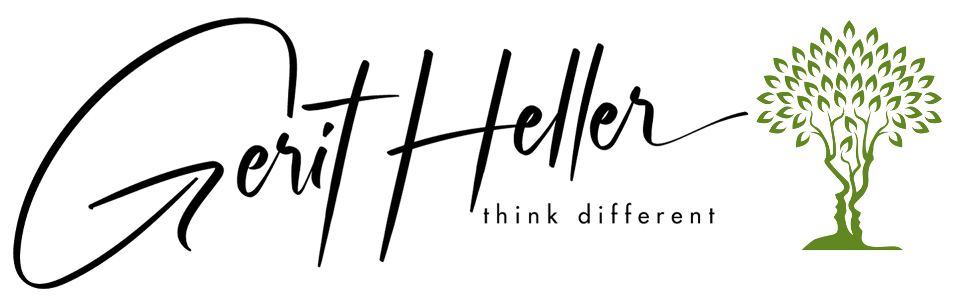 Healy Editionen welche Auswahl gibt es und welche passt zu mir