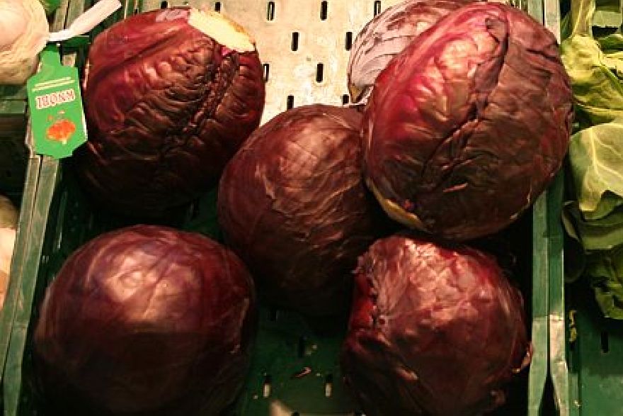 Rotkohl