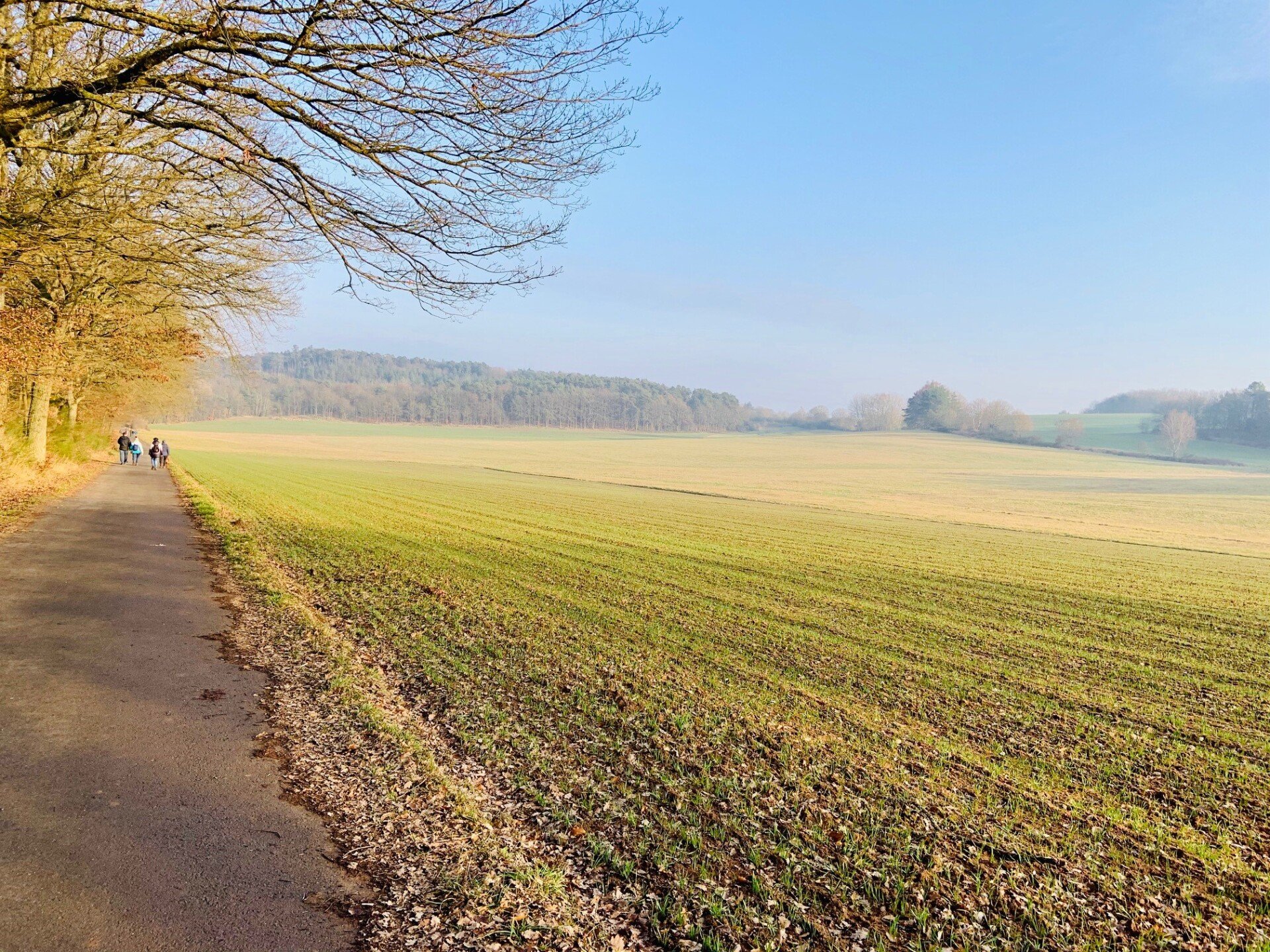 SchwedelbachPörrbach Gemeinde mit Herz in der Westpfalz
