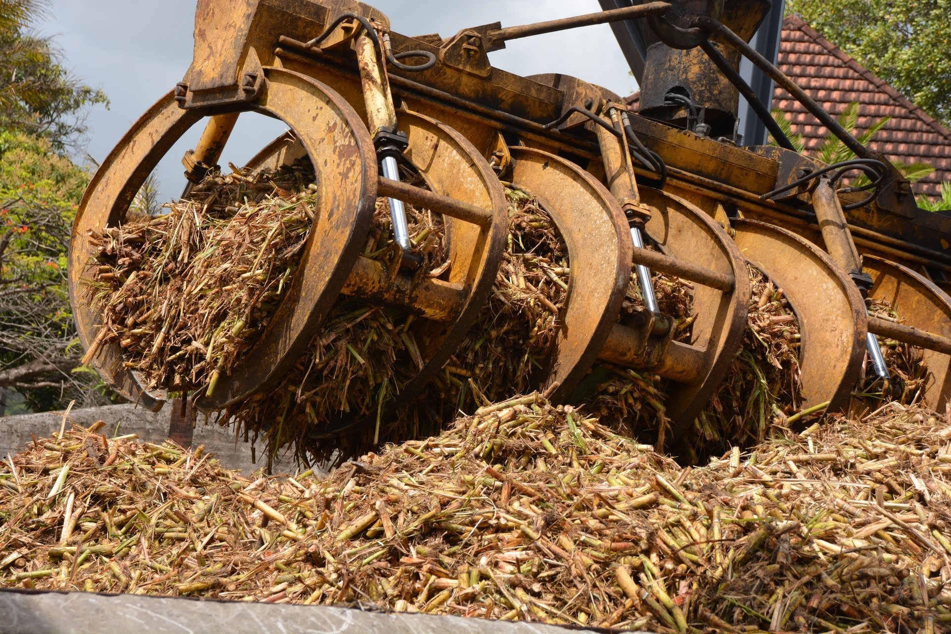 Informationen zu Martinique