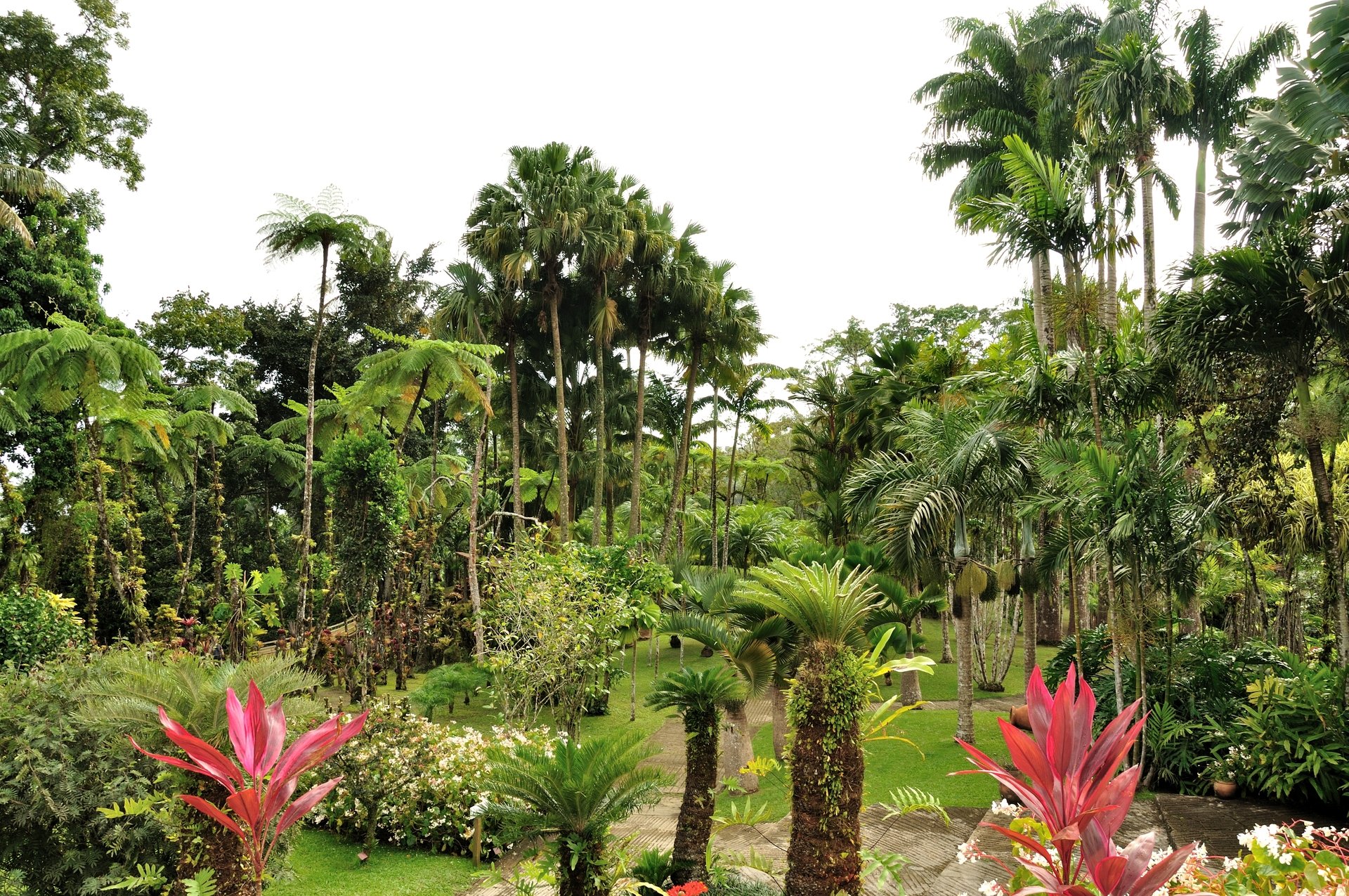 Martinique botanischer Garten Jardin de Balata