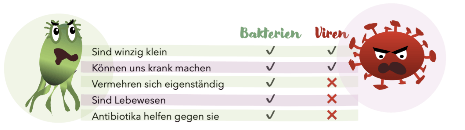 Unterschiede Zwischen Bakterien Und Viren Planet Bambi: BambiGo! Lernplattform - Mikrobiologie