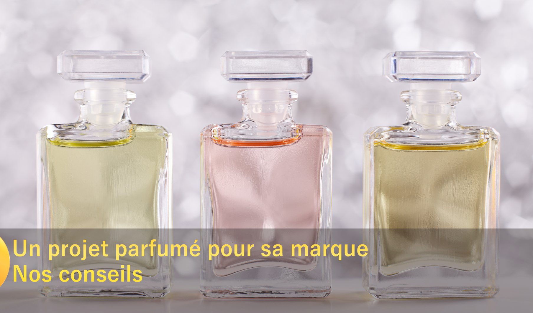 Quel parfum d'ambiance pour son entreprise?