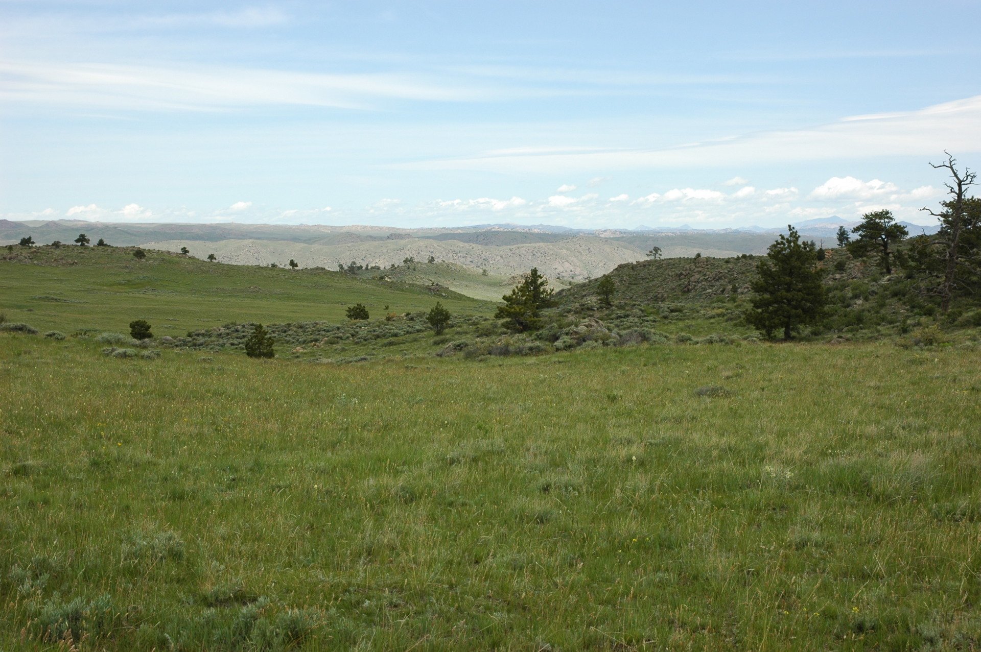 Buffalo Trail Ranch Wheatland, Wyoming