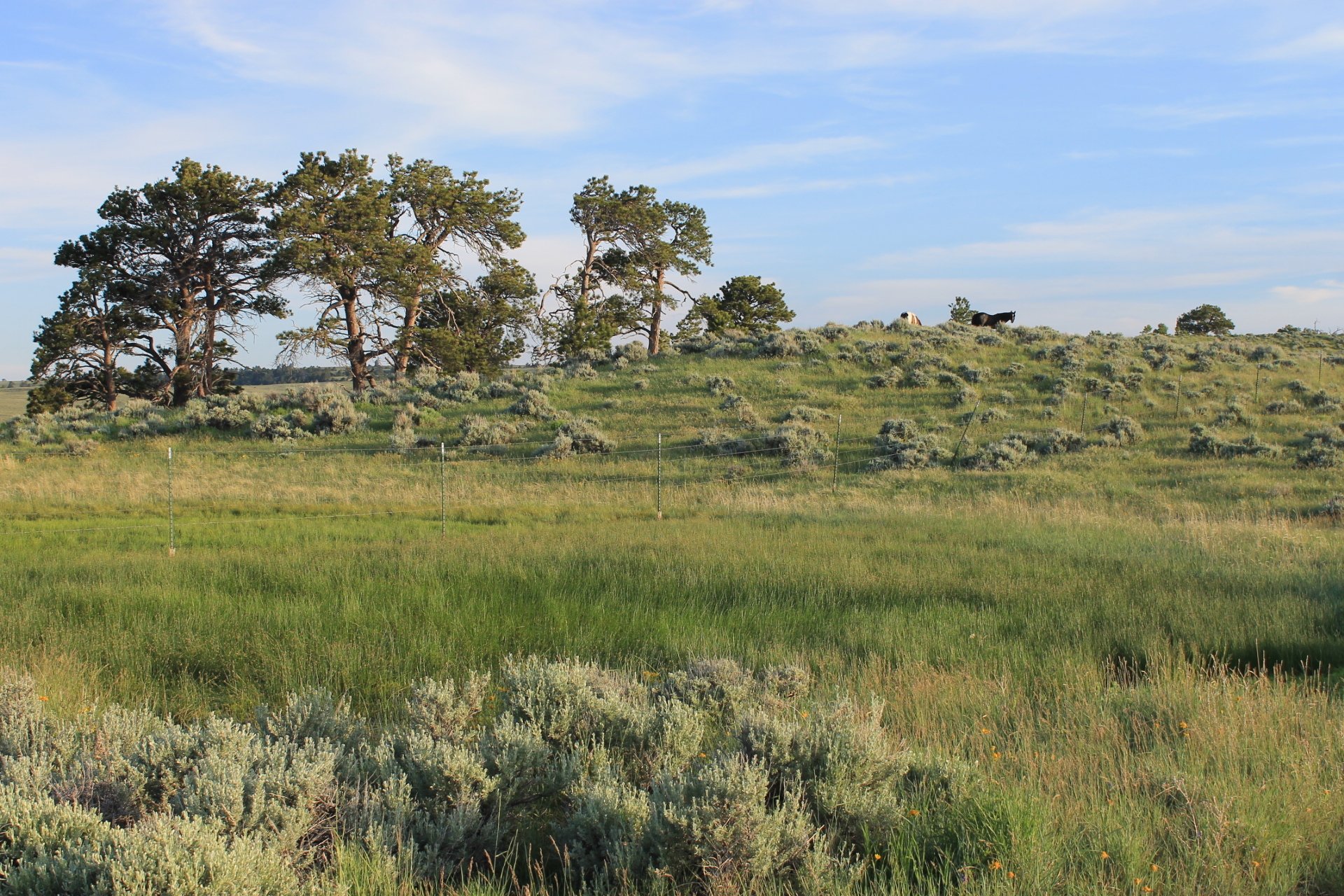 Pine Mountain Ranch Casper, Wyoming