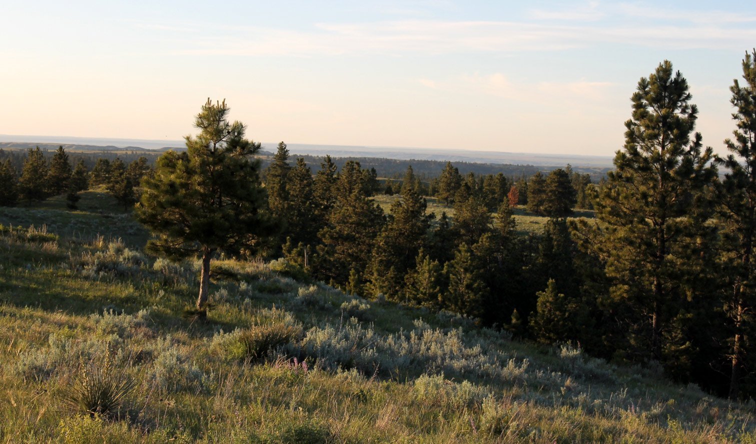 Sarpy Creek Ranch, Hysham, Montana