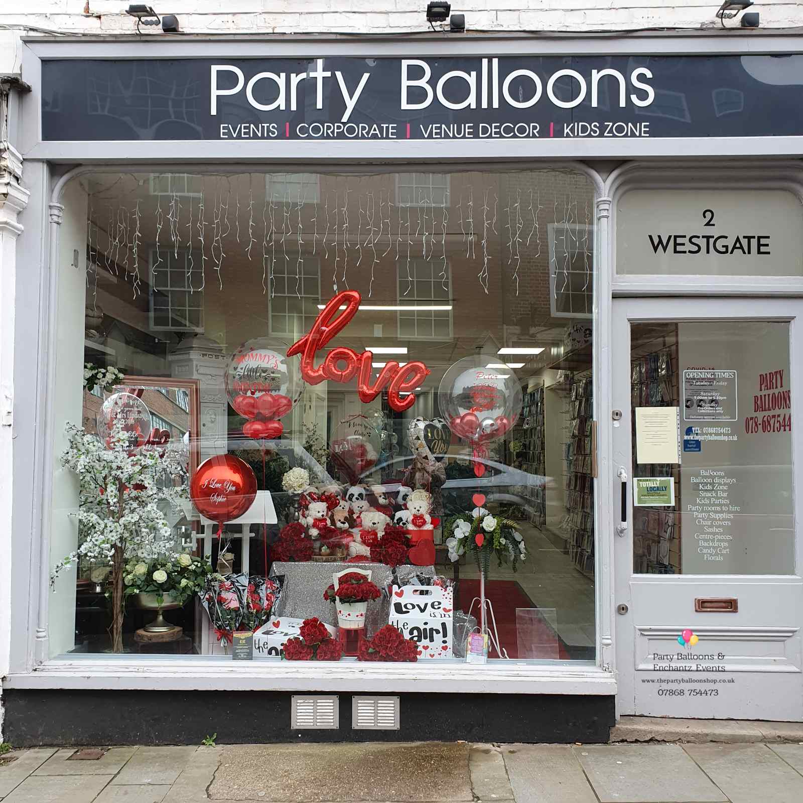 Home [thepartyballoons.co.uk]