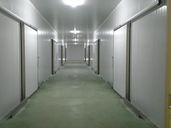 Almacenamiento temporal, Transbordos, Colocacion de Mercancias, Carga y