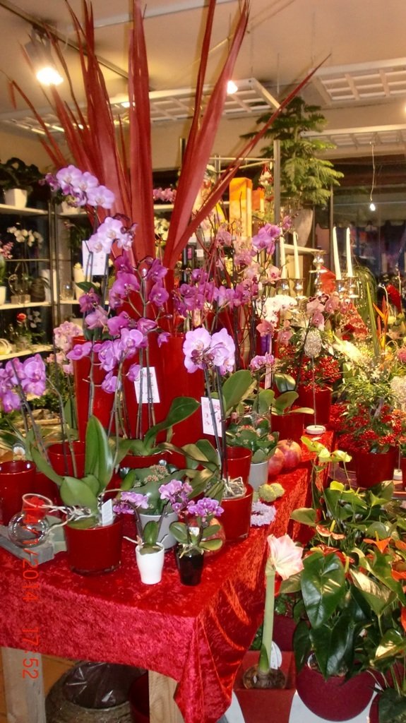 Blumenladen in Nürnberg bei Altenfurt blumenschoen