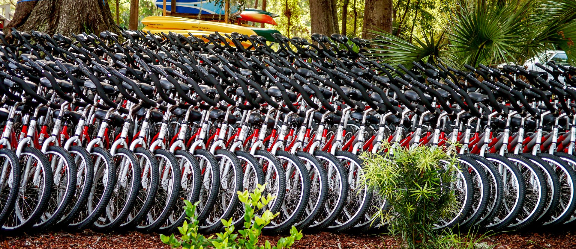 South carolina timeshare title transfer and closing services