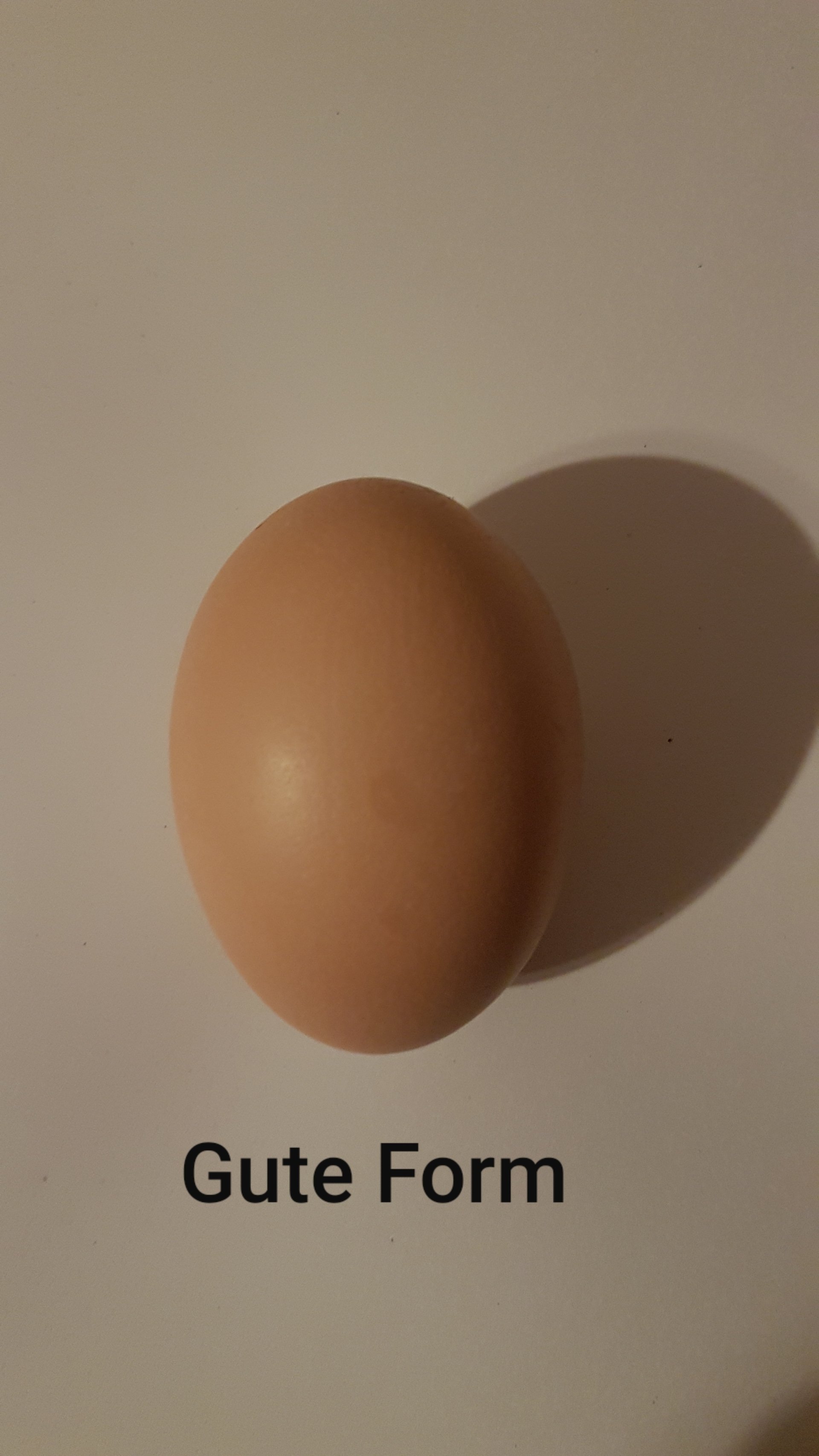 Lagerung und Auswahl der Bruteier