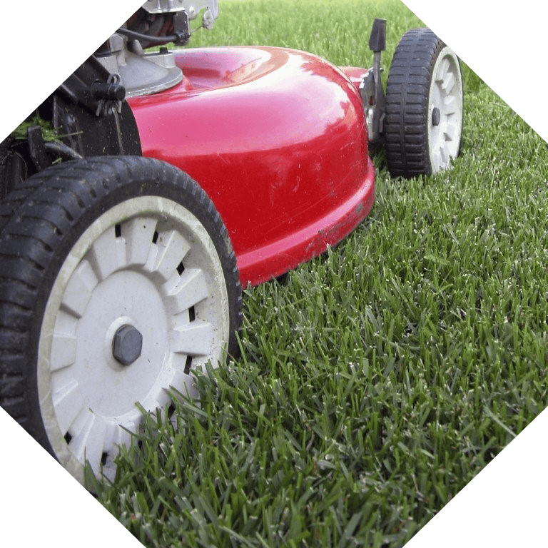 Gartenpflege - Frank Schulte Dienstleistungsservice