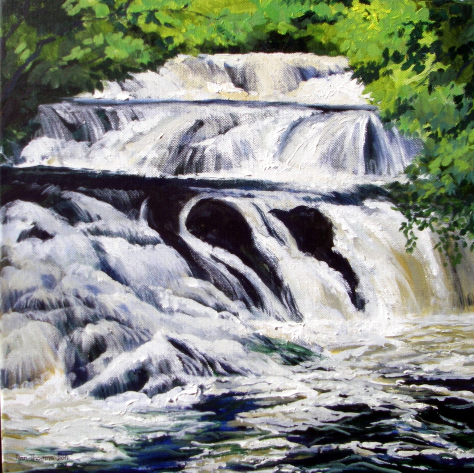 Ann Thomas Paintings