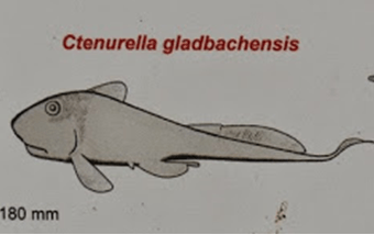 Wandern Geopfad, Lyrikpfad, Erlebnisroute Ost