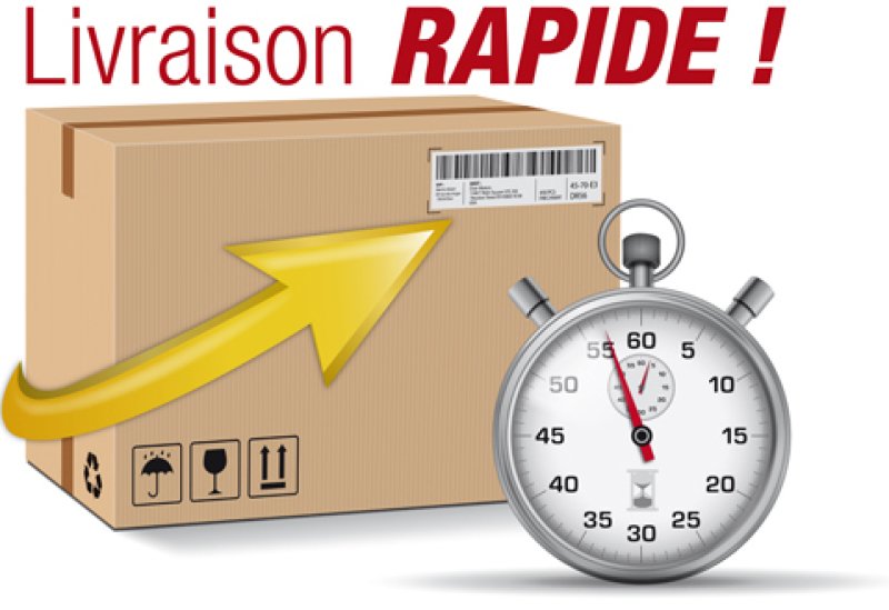 Coursier Paris banlieue transport express colis,documents et palettes