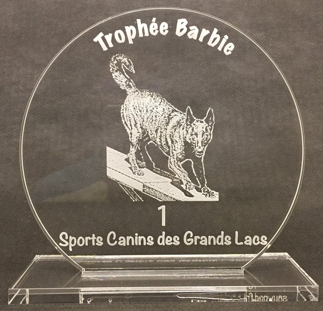 Trophée Et Certificat Barbie Poodle Parade 1995 - Reproduction Vintage Mattel, Or