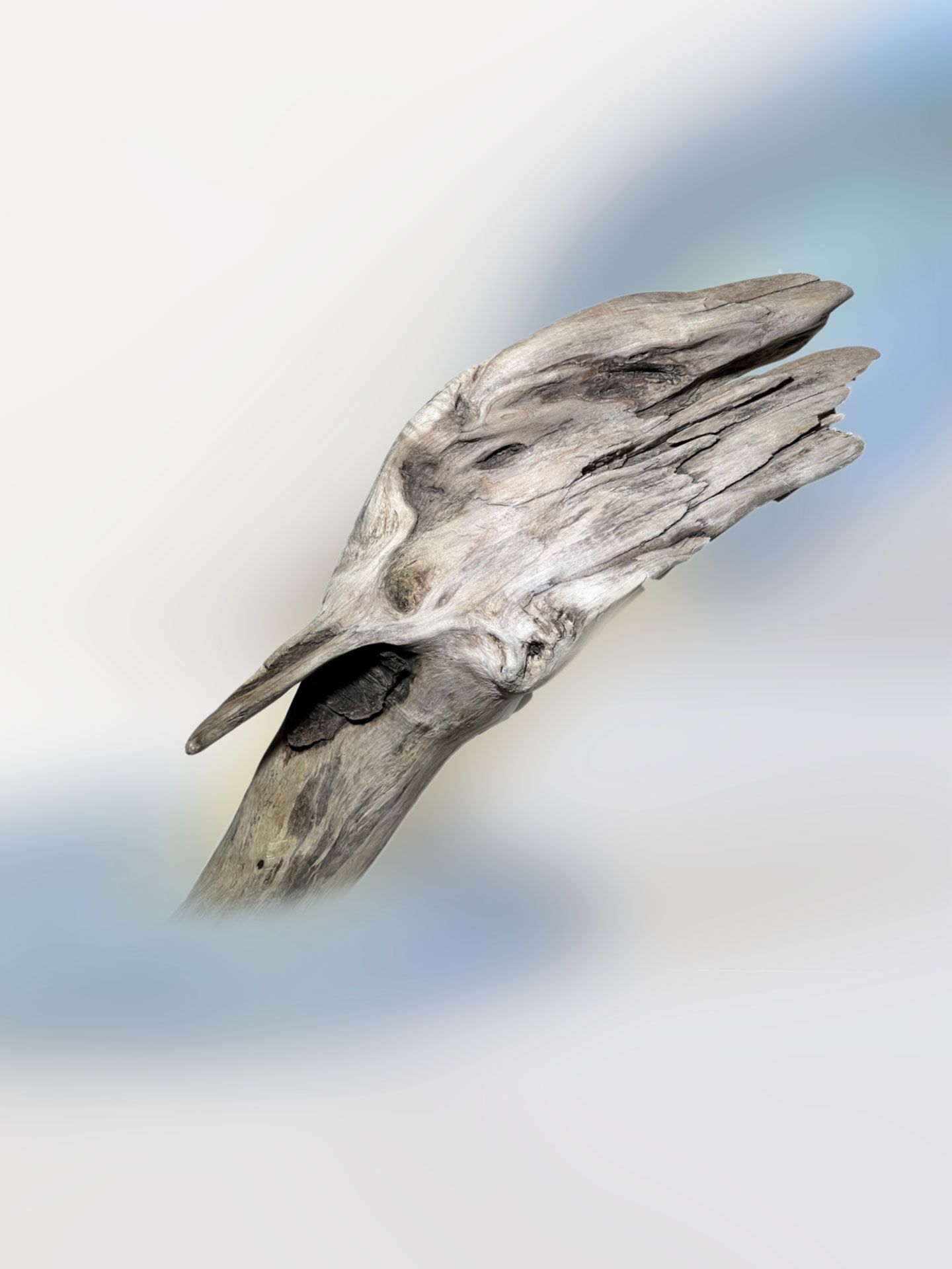 Eisvogel, Eisvogel im Sturzflug, Eisvogel Skulptur, 