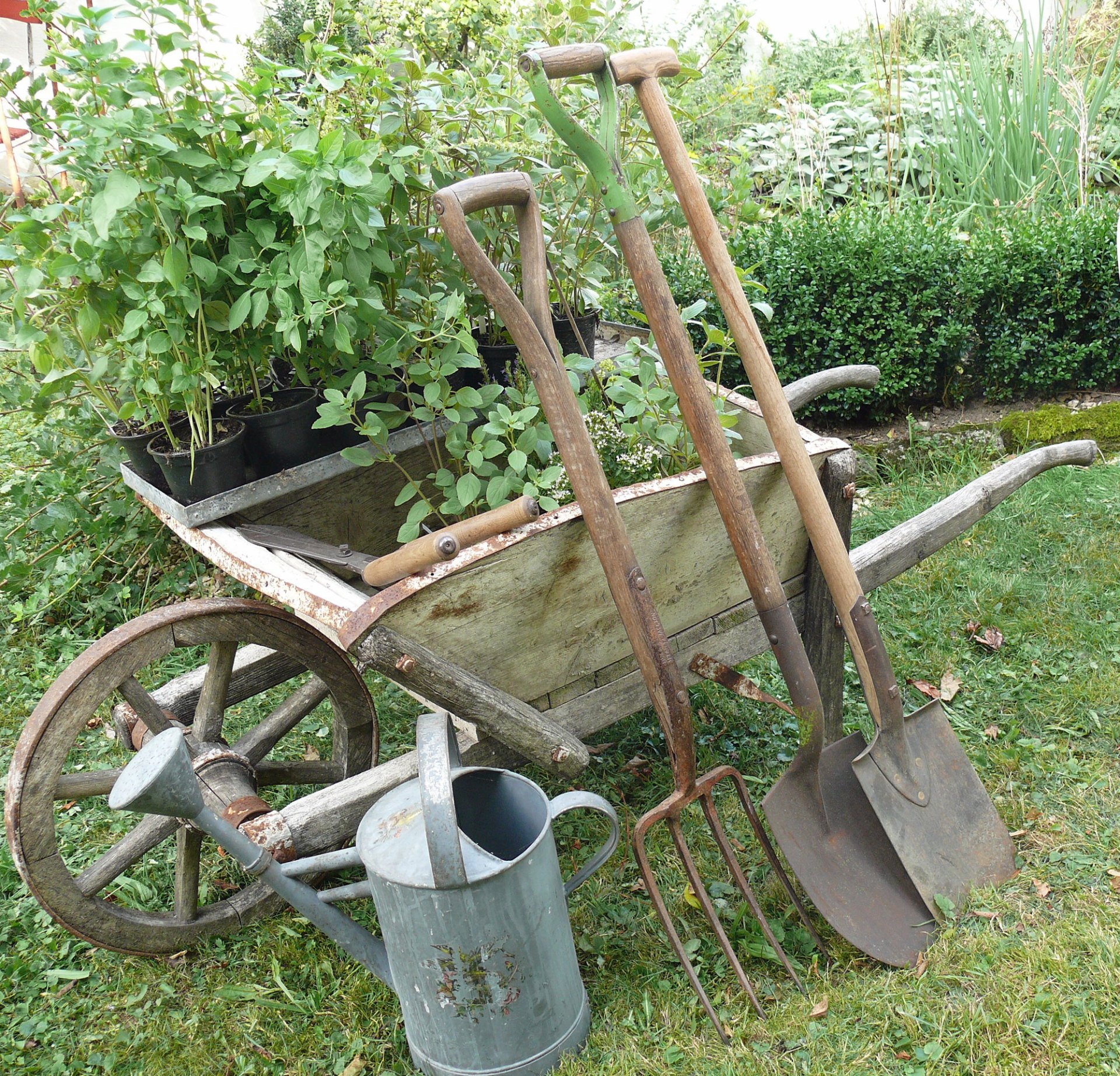 Gartenantiquitäten und Gartenkultur bei Blickfang: Alte Zeiten