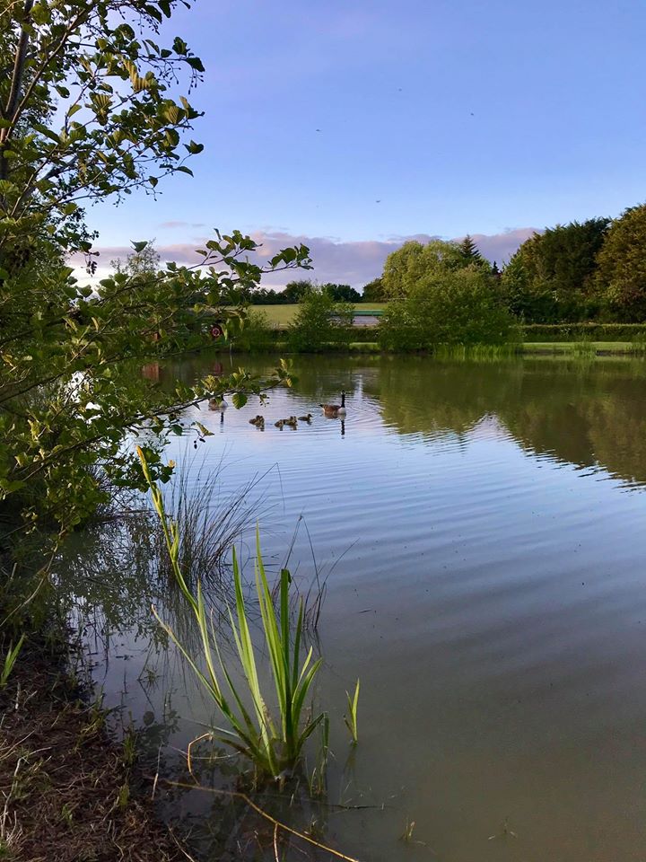 Bishampton & Throckmorton Parish Council