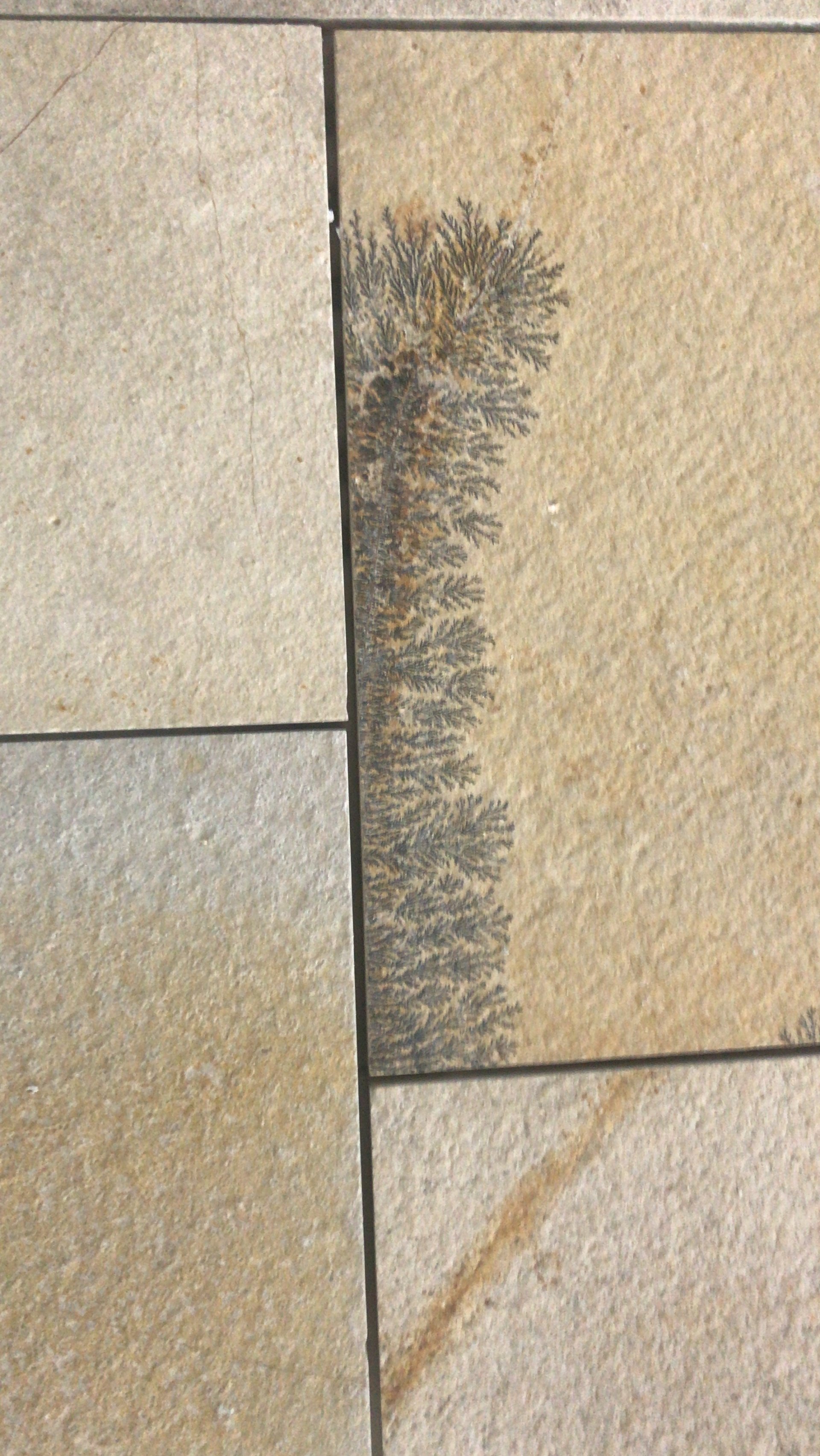 Home [hh-fliesen.de]