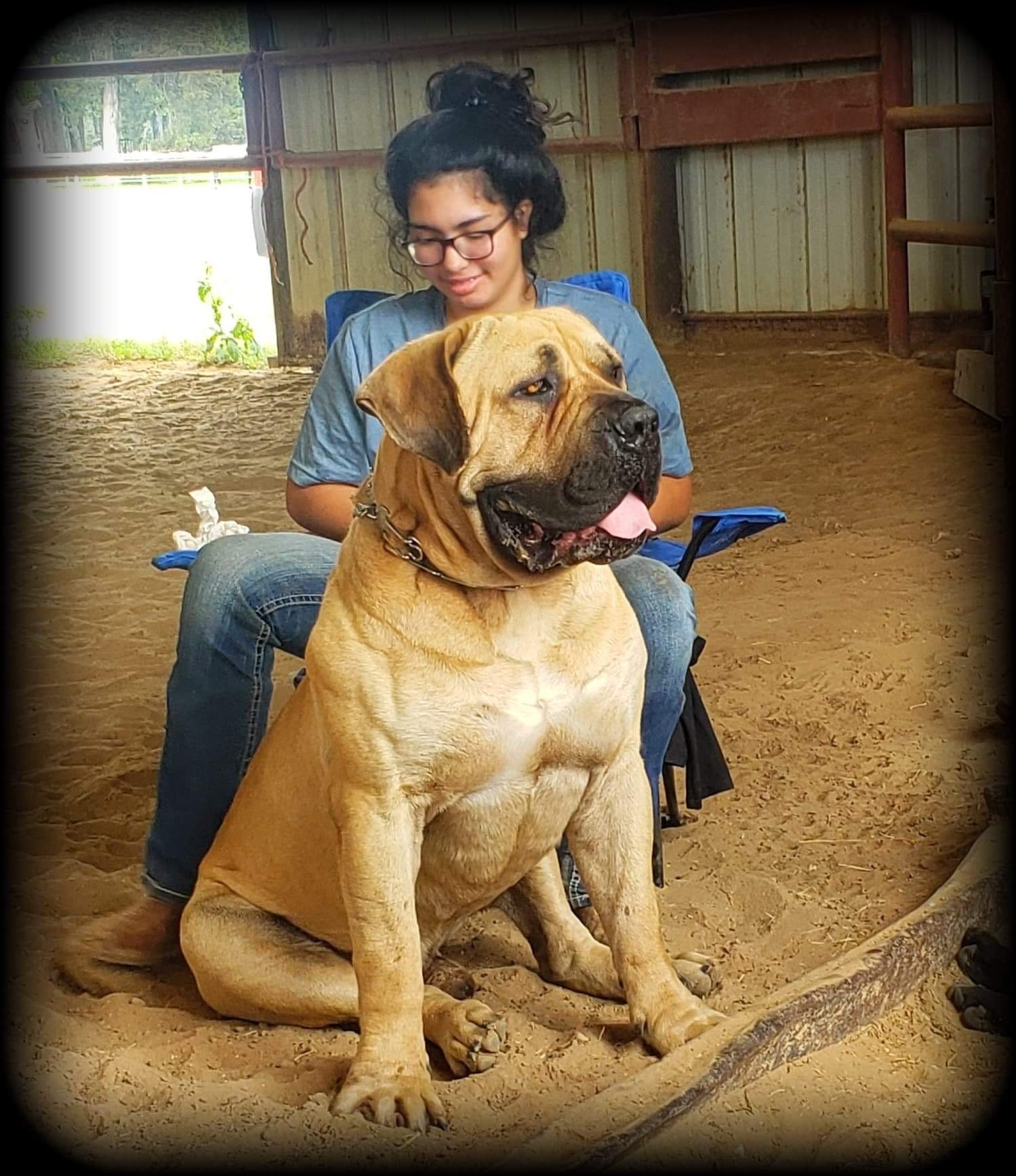 Size, structure, and temperament in some of the highest quality male ...