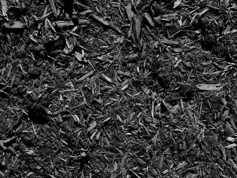 Landscaping & Hardscaping