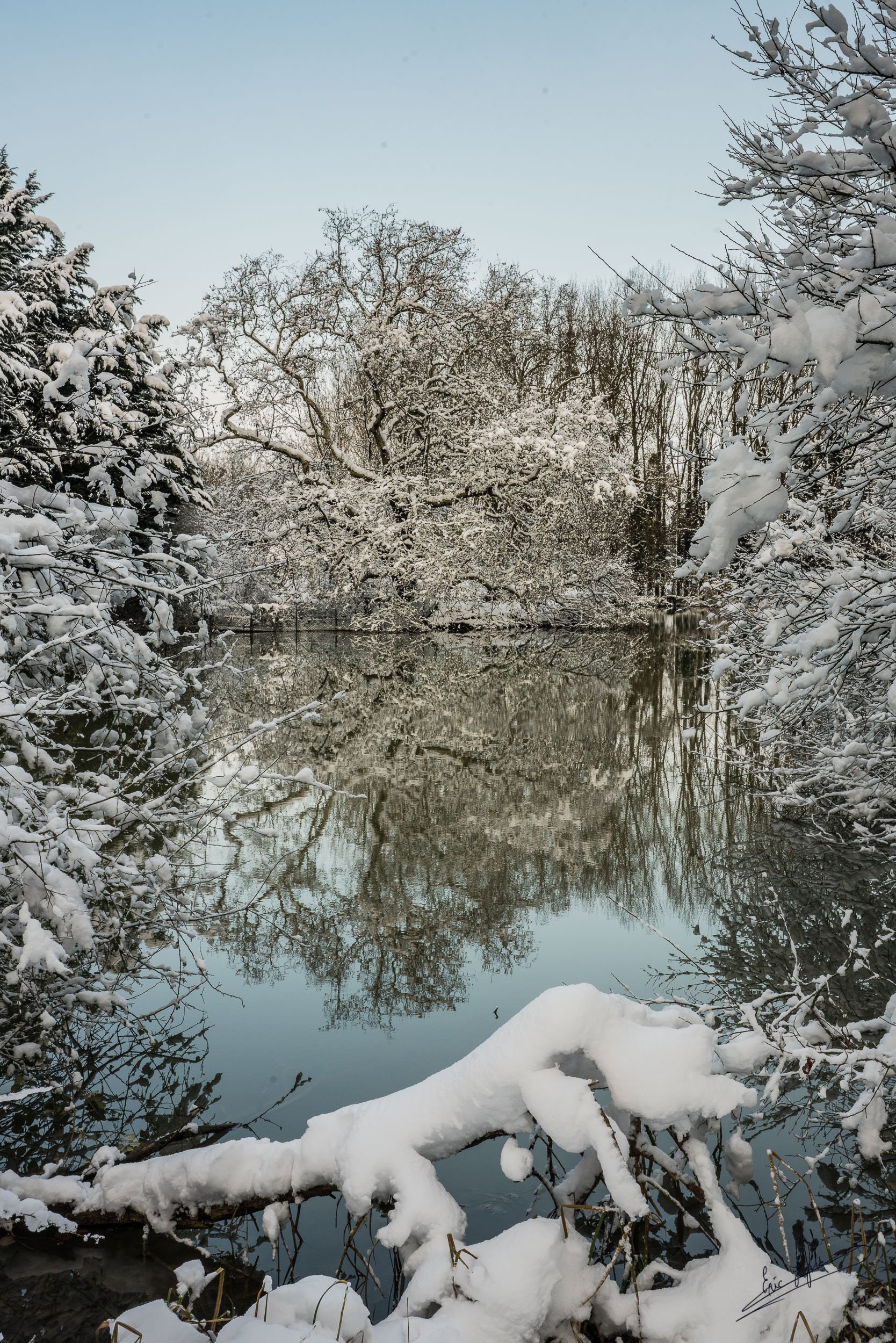 Photographie de paysages et animalière