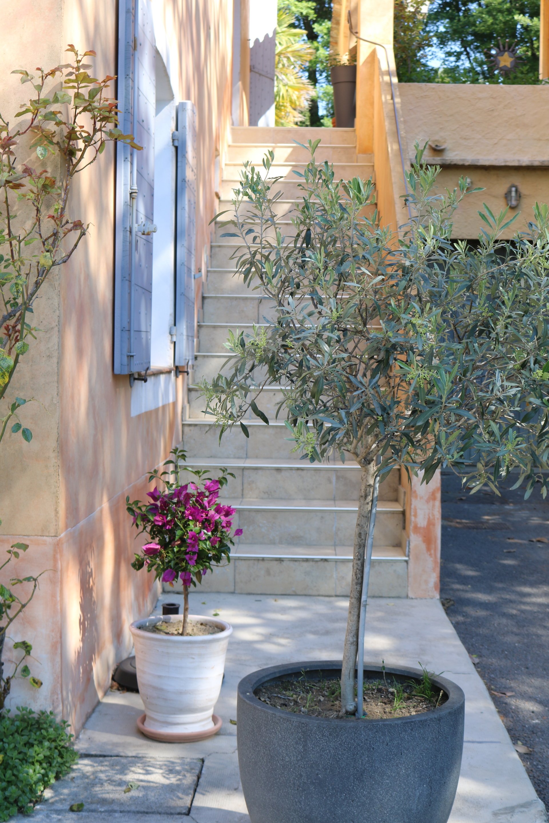 images-pour-d-couvrir-la-soleiade-greoux-les-bains-et-la-provence