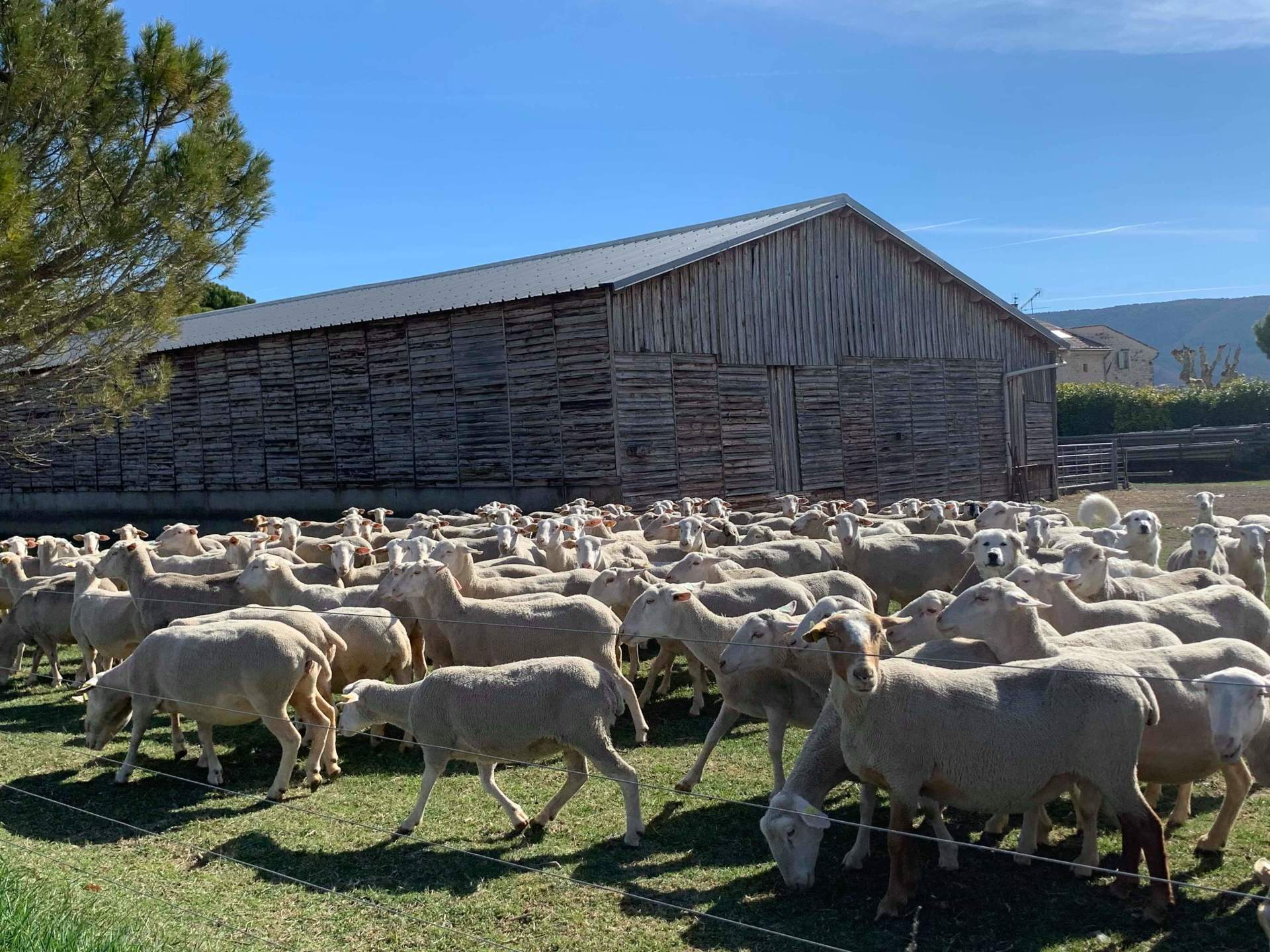 images-pour-d-couvrir-la-soleiade-greoux-les-bains-et-la-provence