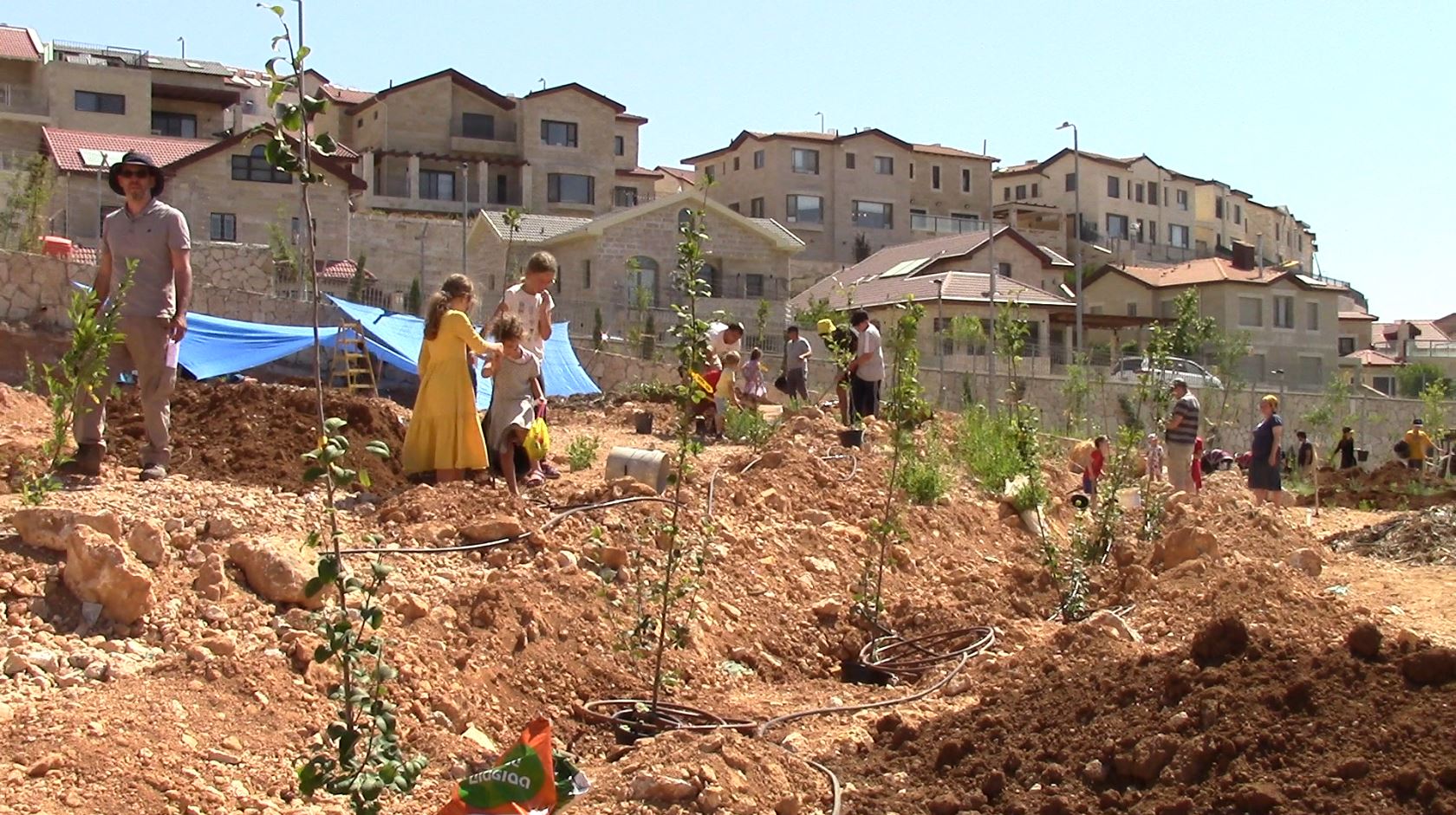 Home Plant Fruit Trees in Israel with Zo Artzeinu