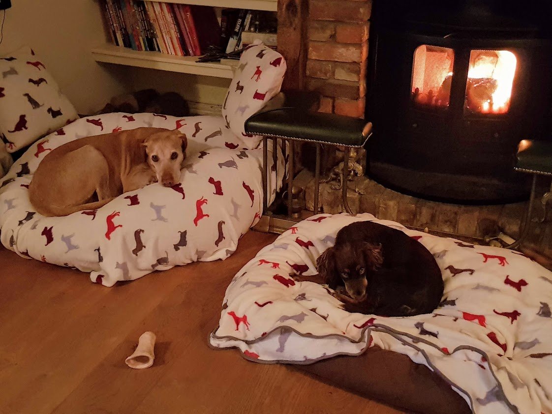 The Noble Dog Hotel & Day Care Luxury Dog Care in Somerset