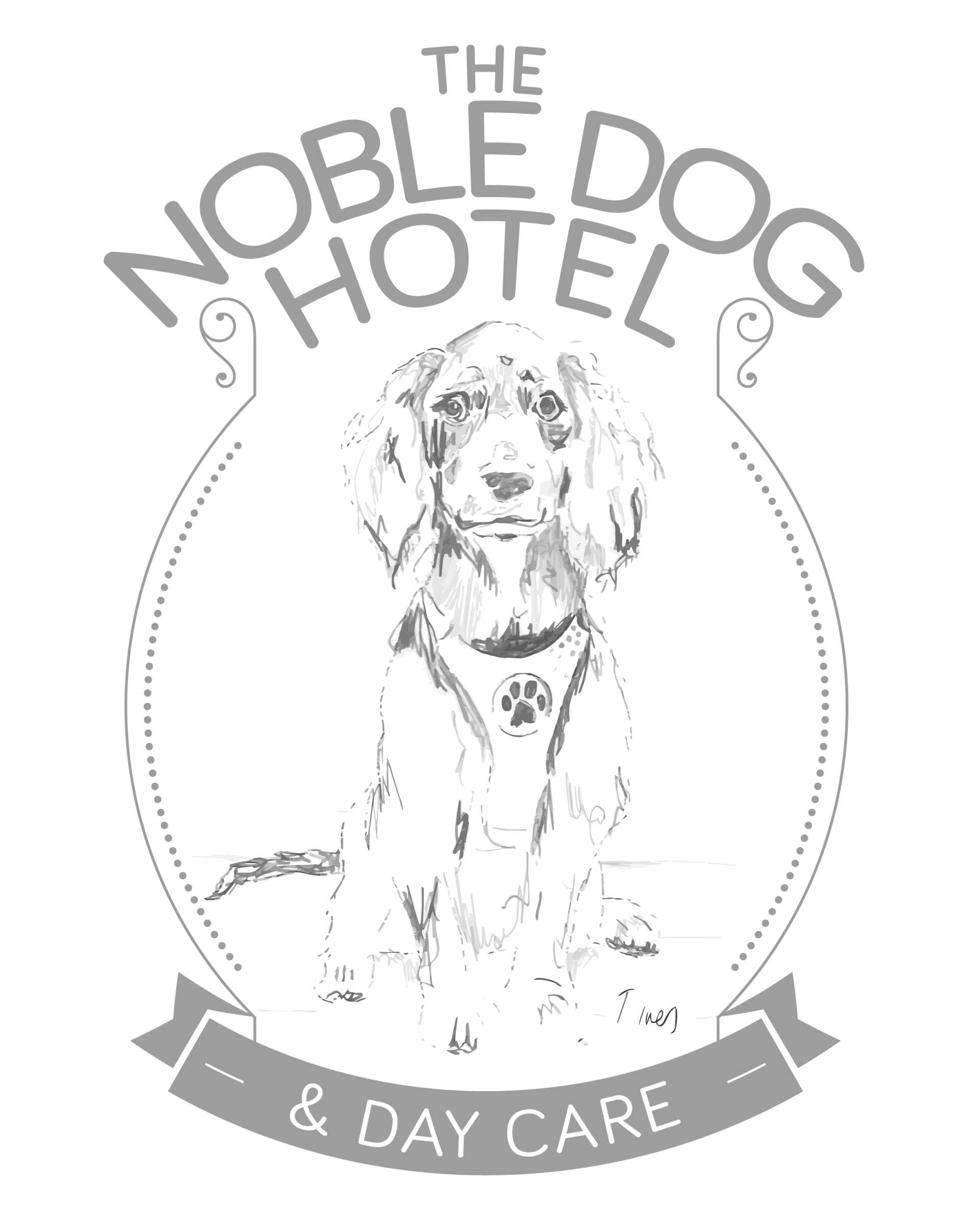 The Noble Dog Hotel & Day Care Luxury Dog Care in Somerset