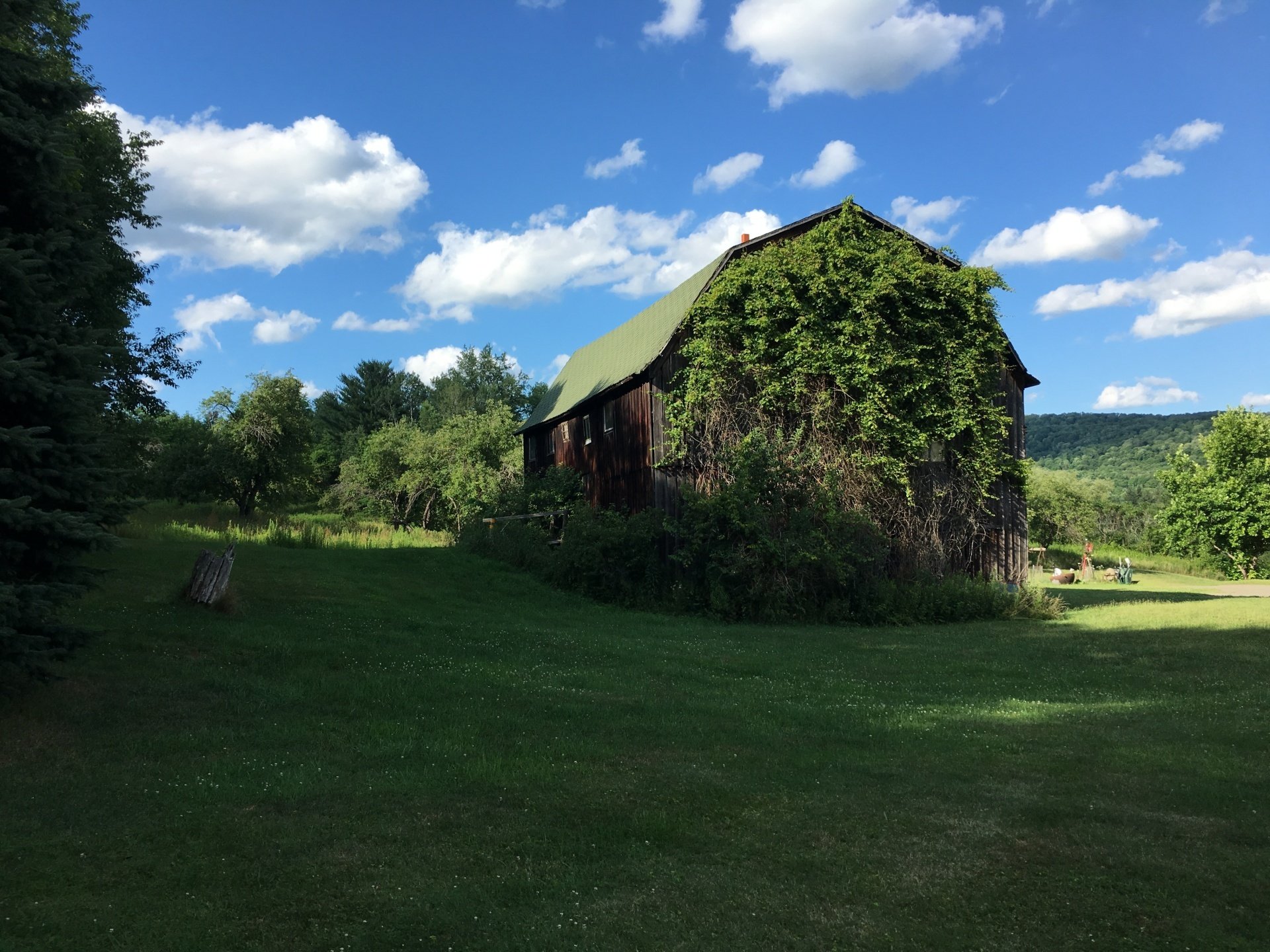 Town of Truxton Photo Gallery