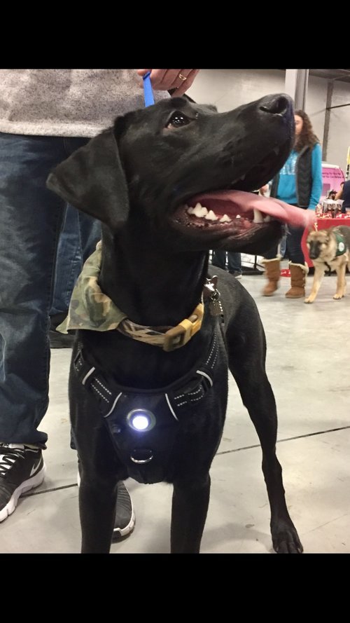 Find A Hunting Buddy and Hunting Buddy Finder helps hunters find hunting buddies in the USA