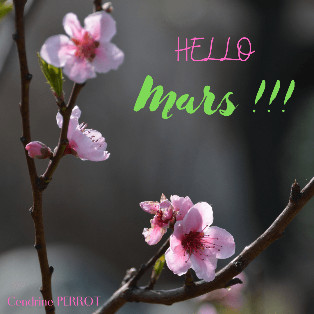 Hello Mars
