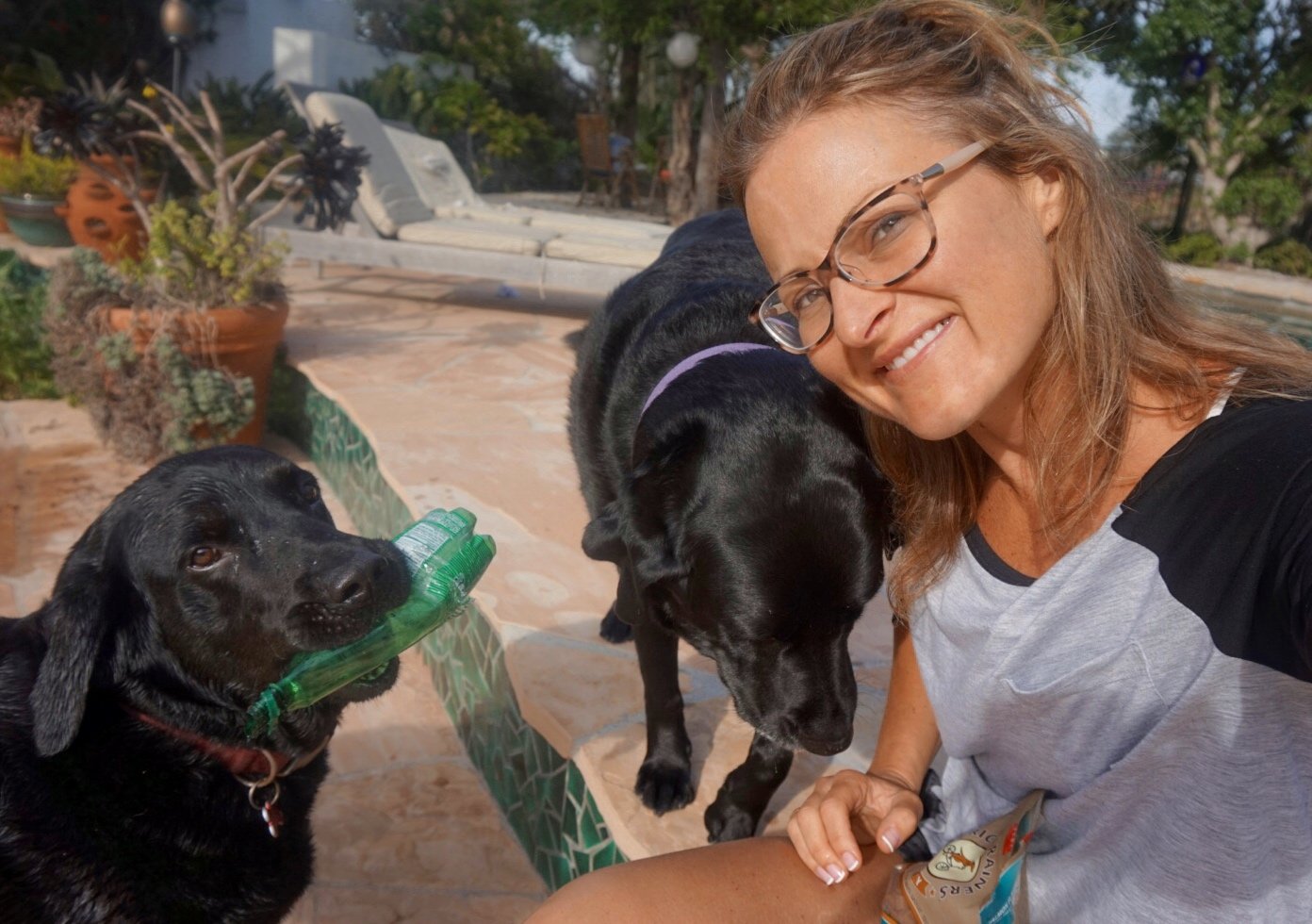 Our TEAM San Diego's Best Dog Walkers, Pet Sitters