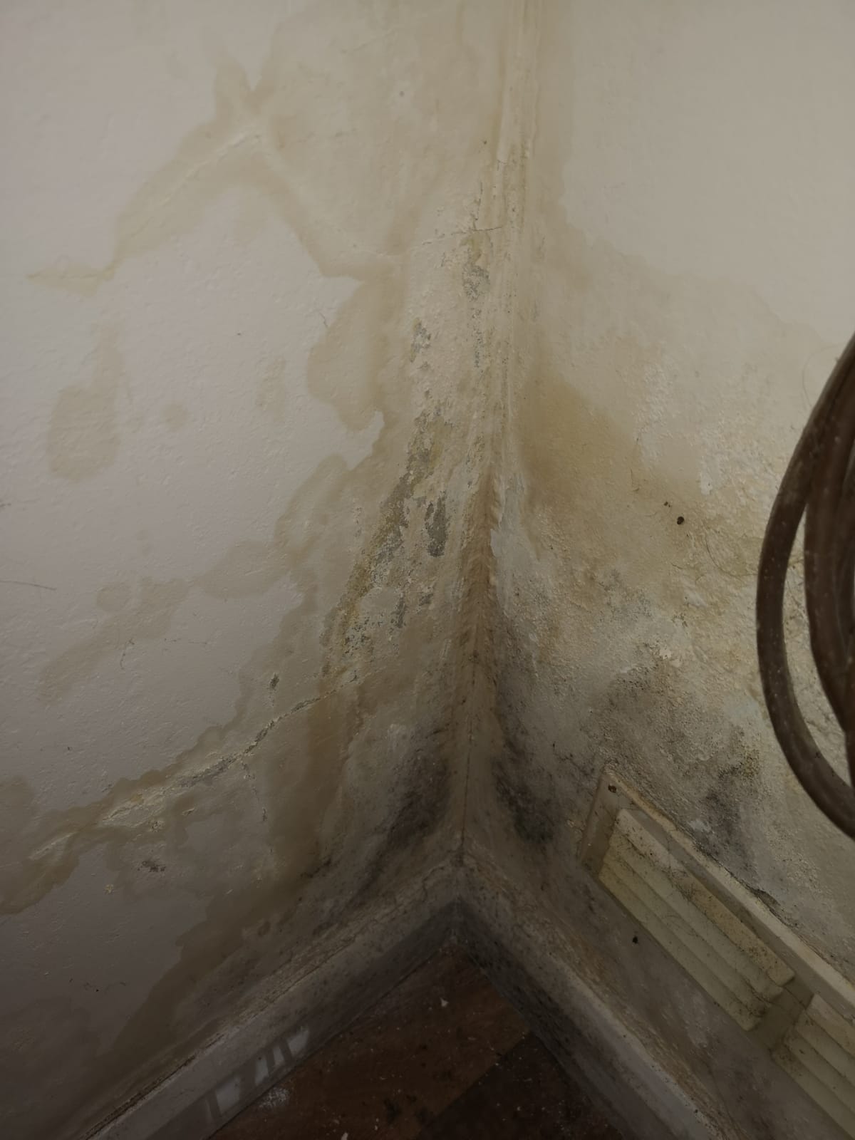 Case study of ramgad watershed 07 picture