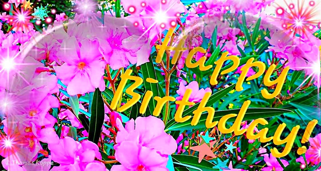Geburtstagsgrüße Bilder kostenlos