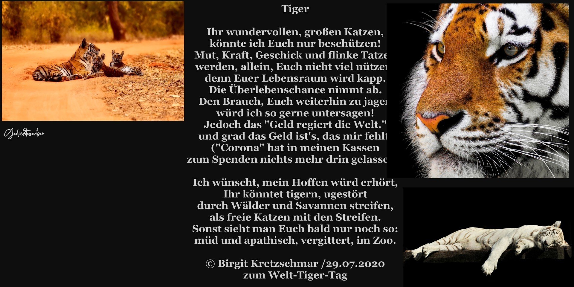Birgits Gedichte