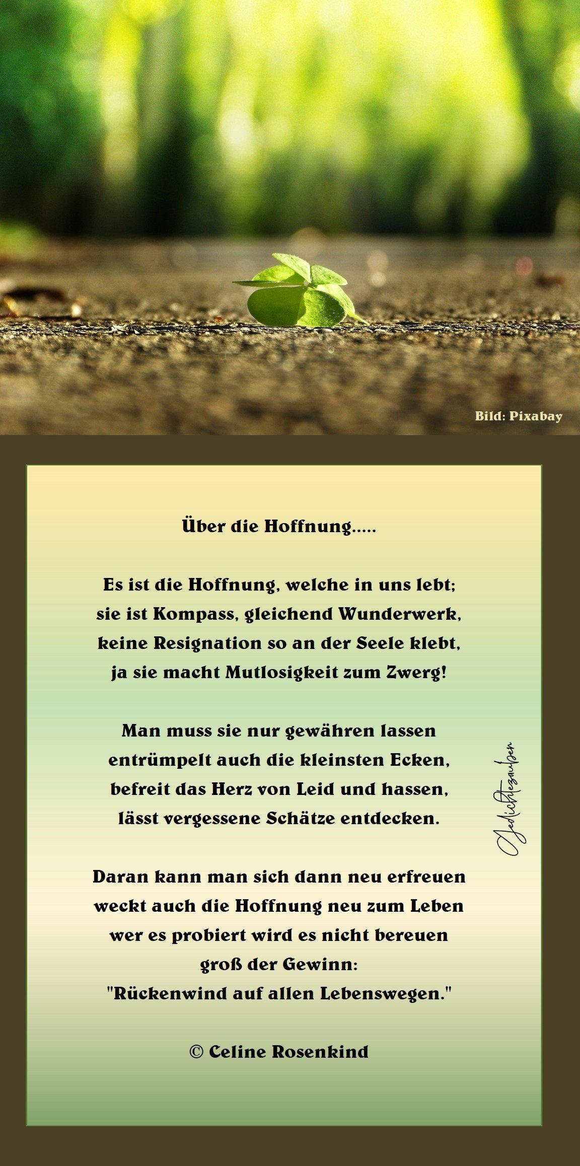 Galerie Nachdenkliches