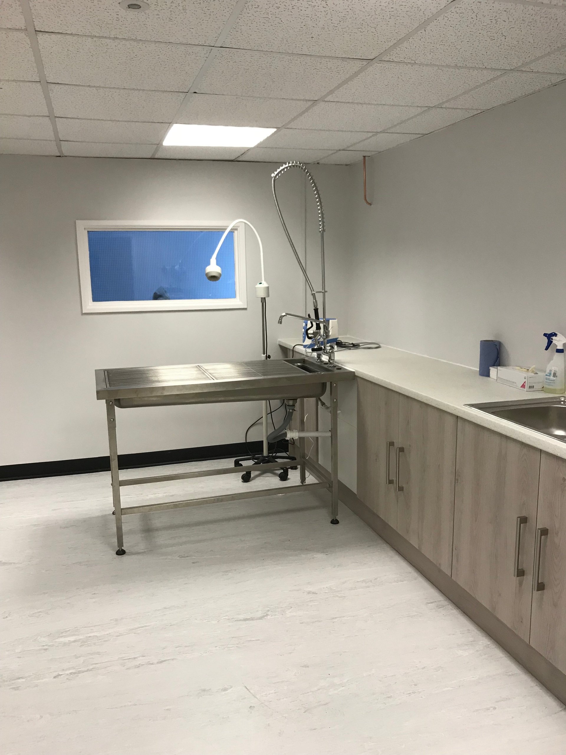 Furness Veterinary Centre Small animal vets in Dalton In Furness