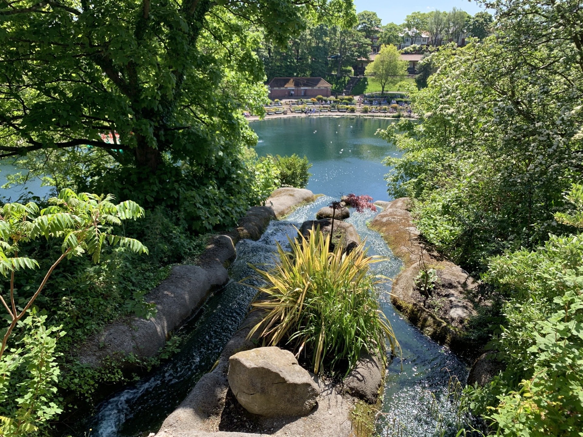 10 Pics Of Peasholm Park Taken Today