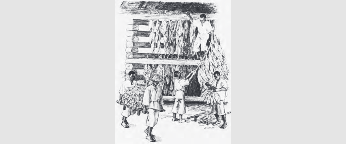 Slavery and Tobacco